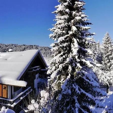 Allgaeublick Оберстдорф